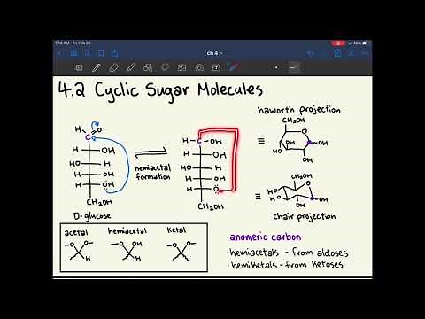 MCAT Biochemistry Ch. 4: Carbohydrate Structure and Function