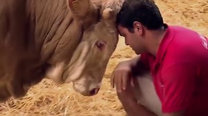 4.5M views · 22K reactions | How freedom feels. [ watch with sound] More joyful animals here ➡️ www.AnimalsAus.org/tVn | Animals Australia | Facebook