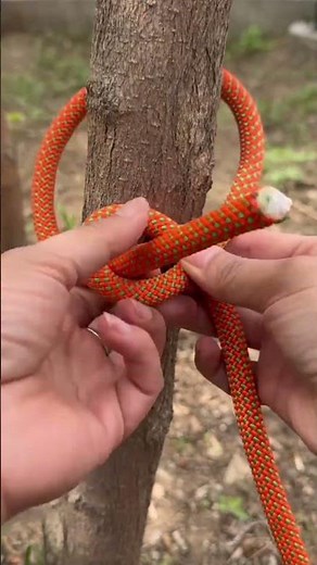 Essential Outdoor Skills: How to Tie a Perfect Tree Knot