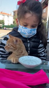 384K views · 10K reactions | Istanbul Cats Photo Boole Art Website : www.istanbulcats.com Facebook : IstanbulCats Instagram : @istanbulcatsofficial Istanbul Cats Souvenirs & Gifts Istanbulcatsshop @istanbulcatsshop Twitter : Istanbul__Cats YouTube : IstanbulCats | Istanbul Cats | Facebook