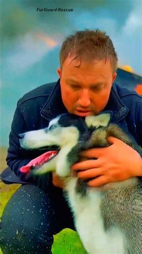 🐾 “Rescuing paws, spreading love ❤️ | Heroic animal stories & heartwarming rescue videos#dogrescue