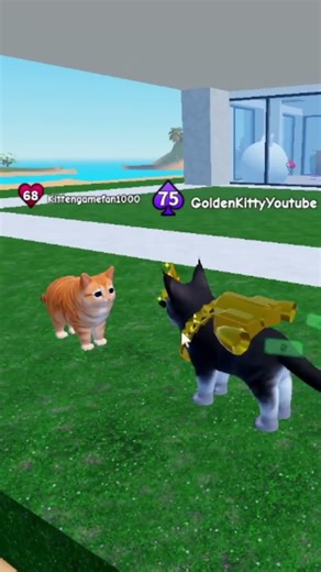 ROBLOX: Kitten Game - MILK #roblox #kittengame