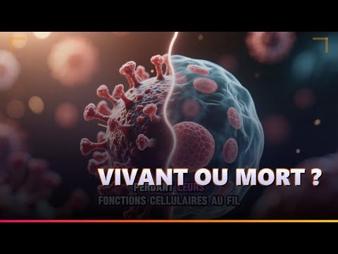Les Virus Sont-ils Vivants ? Le Débat Biologique (Are Viruses Alive? The Biological Debate)