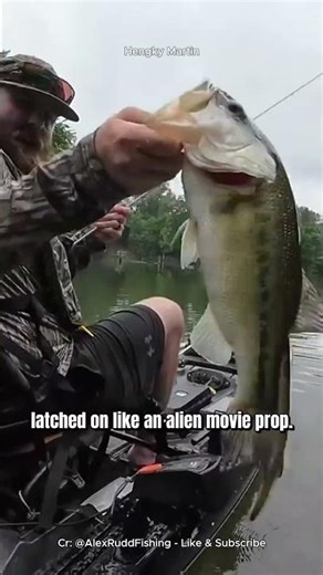 WHAT IS THAT ON THE FISH! Lamprey Attack Caught on Camera #fishing #viral