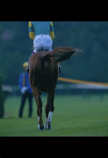 香港国際C GIl 1997/12/14 香港1R 芝1800m ⑬ 武豊（56.7） #サイレンススズカ #武豊 #競馬