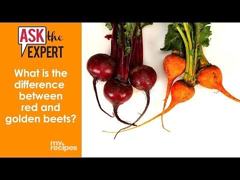 What Is the Difference Between Red and Golden Beets? | Ask the Expert