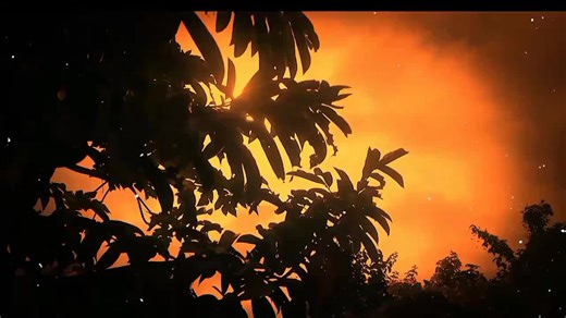Snack time with my lil’ bunny 🥕💕 When the rabbit hears food coming 😂🐰 Bunny vibes only ✨ 😍 Heart-Melting / Feel-Good #foryou#rabbitsoftiktok #rabbit #rabbitlover #bunny