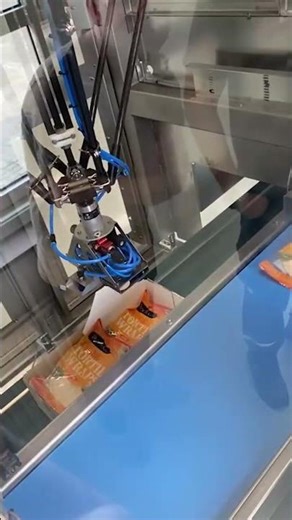 Egatec RP2 - Flowpack tortilla wraps