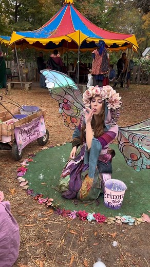 Enchanted Dreams with Primrose the Fairy | Carolina Renaissance Festival