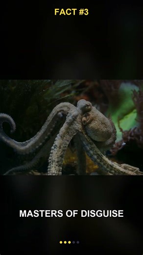 Animals With Powers #Shorts