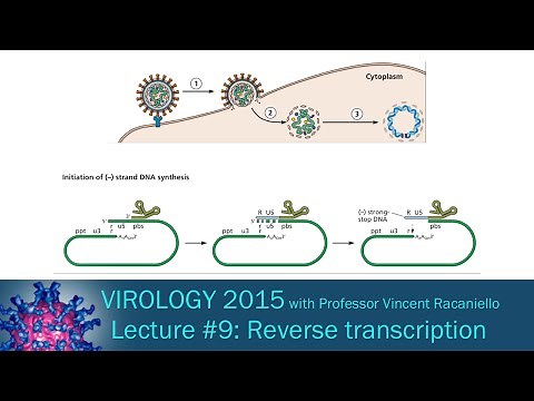Virology 2015 Lecture #9: Reverse transcription and integration