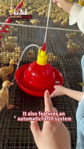Best automatic waterer for chickens that prevents spills and dirt #chicken #poultry #farming