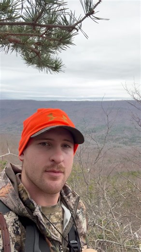 Sometimes you just gotta stop and take in the view! #publiclandhunt #deerhunting #blueridge