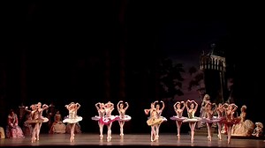 8.3K views · 28 reactions | Come and see the timeless tale of love,...