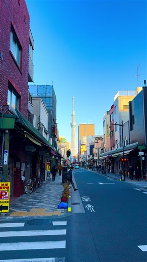 📍Japan / 日本 Follow us for more daily content @japan_4k_walk Please Share🥰☺️🙏 Thanks you very much 🙌🏻 #日本の風景 #japanlife #japandaily #japantrip #visitjapan