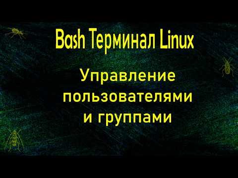 QA 4. | Bash | Управление пользователями и группами
