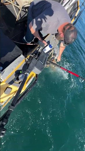 Halibut Fishing Elfin Cove, Alaska – Epic Harpoon Catch | YachtBuying101.com