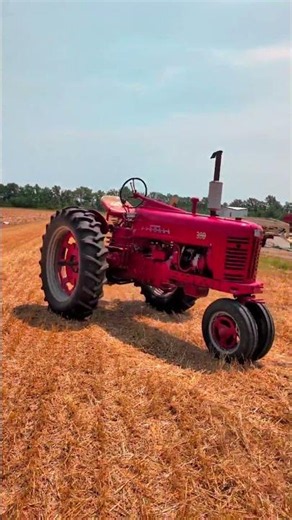 1955 INTERNATIONAL 300 For Sale