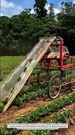 Amazing Peanut Farming Machine in Action | Efficient Mechanized Agriculture