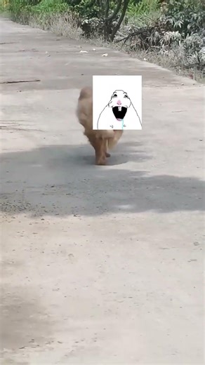 Track Motion Assignment