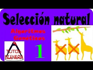 🔬 Selección algoritmos Genéticos