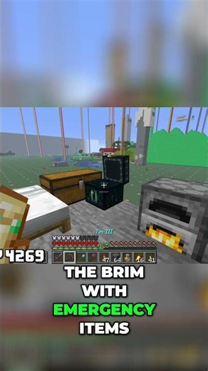 Elytra Broke Mid Flight! Stuck in the Pit, Need XP