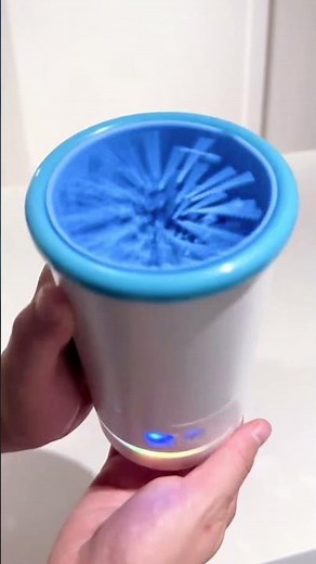 🐾 Cute & Funny Dog Moments | Best Dog Videos Ever! 🐶 #Dog #Dogs #Shorts