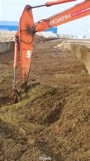 How Cow Dung Became a Goldmine! 🐄✨
