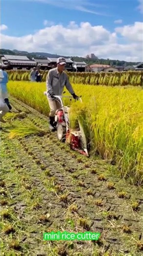 mini rice cutter