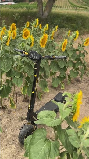 🌻 KuKirin G4 | Ride Into Adventure ⚡🛴 #kukirin #kukiring4 #escooter #adventureride #riderlife