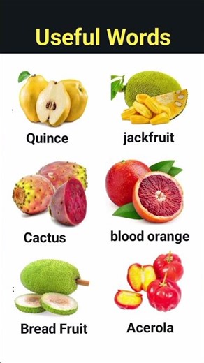 A Comprehensive List of Useful and Unique Fruit Names for Everyday Vocabulary Building