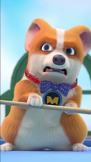 Flying MOCO 🐶 | The King of Snooker 桌球天王 | Flying MOCO Shorts 爆笑飛狗MOCO (2022)