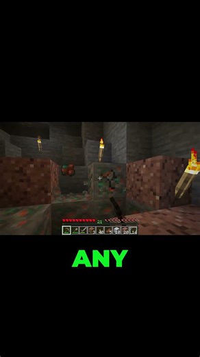 Copper: Building Block or Game Changer? Survival Test!