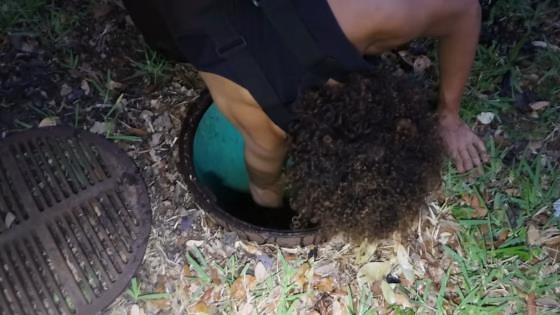 Sewer Fish Trap Pulls Up Giant Pond Monsters