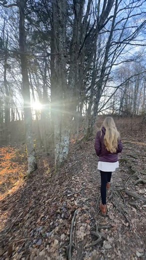 Exploring Newfound Gap in Great Smoky Mountains National Park