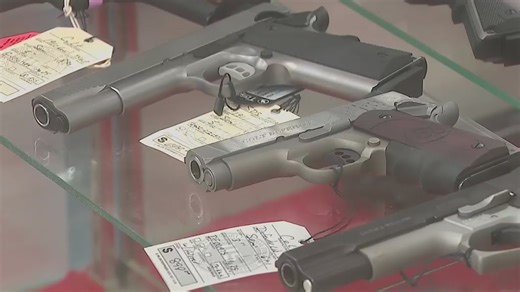 Michigan House Republicans introduce a repeal to state red flag laws