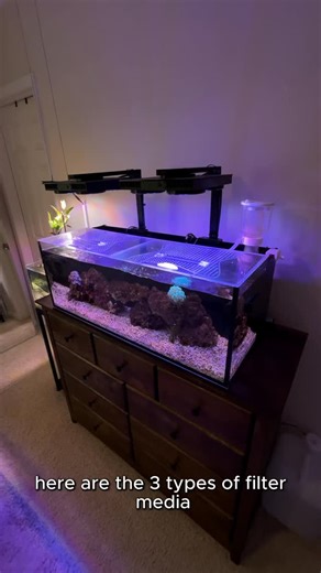 Jordan Harris on Instagram: "3 types of filter media! #fishtanksofinstagram #reeftank #nanoreeftankreefer #reefaquarium #marineaquarium #saltwateraquarium #nanoreef #eco #aquascape #reeftanksofinstagram #coralreeftank #reefscape #mixedreef #nanotank #reefaddict #reels #reelsinstagram #plantedtank #plantedaquarium #plants #Noopsyche #K7PROIII #reefcasa #fragbox #innovativemarine #nuvo"