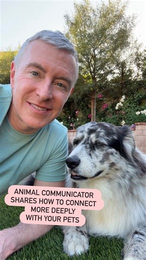 If you’ve been wanting to deepen your connection with animals on an energetic and spiritual level, here’s a beautiful animal communication process I use with my own pets and in my work as an animal communicator. Sit with your animal in a peaceful space, close your eyes, and visualize a sacred circle of light surrounding you both. This circle becomes a safe container for intuitive connection. Set an intention to feel their energy and allow your heart to send and receive messages. Let the energeti