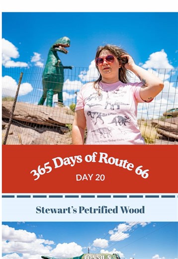 Stewart’s Petrified Wood in Holbrook, Arizona is one of the kitschiest rock shops on Route 66. Look for man-eating dinosaurs, ostriches (both real and fake), sabertooth tigers, mannequins, and more at this Route 66 roadside attraction and souvenir shop. Petrified wood shops are prolific in eastern Arizona. It only makes sense as it’s a commodity that abounds in the area, especially within the popular Petrified Forest National Park. What is petrified wood? Petrified wood is a type of fossilized w