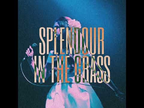 Lana Del Rey - Without You (Live at Splendour in the Grass) (AUDIO HQ)