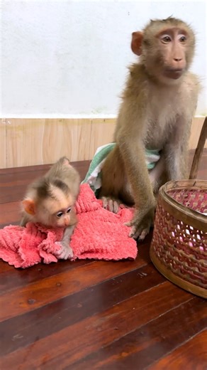 2.9K views · 141 reactions | Mario play with baby Mio | Mario Life's | Facebook