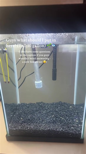 Ok here’s all of my 1000 questions 😂: What aquatic plants are acceptable for this tank? How long should my tank cycle for (I think cycling is just putting in the chemicals and letting it filter out - right?) it’s been cycling for 1 day. What do y’all use for the water heater to stick to the wall? Mine is just floating in the tank. Also feel free to give me tips, just please don’t be rude with them! Thanks! (I’ve seen how rude some people are on “fish tok” and it seems really toxic 🫣, besides t