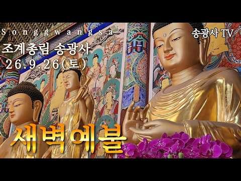 송광사TV 26.9.26 새벽예불