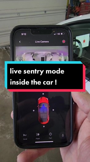 Tesla Live Camera Feature: Monitor Your Car's Interior