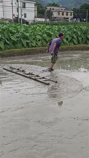 Ancient Farming Techniques