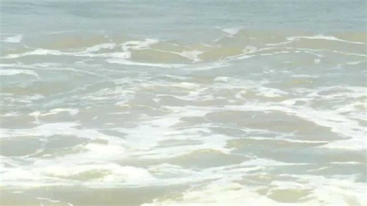 Could a tsunami ever hit Florida? What experts say