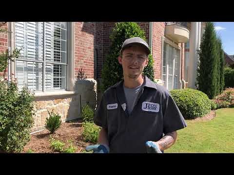 Low E Windows vs Clear Glass