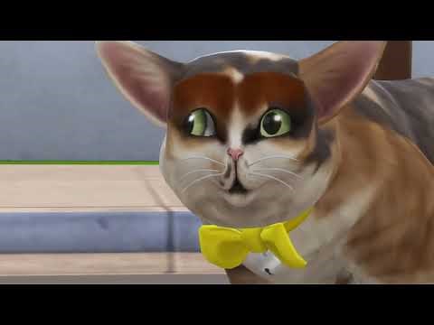 GrayStillPlays The Sims 4 but it's only the cats (continued)