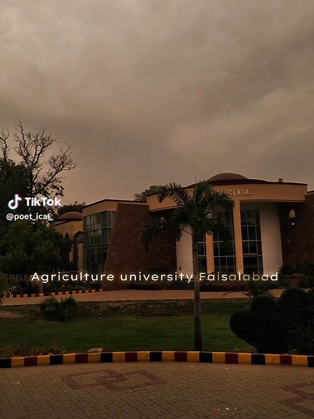 Exploring Life at Agriculture University Faisalabad