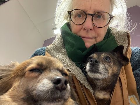 Very icy weather, frozen water tanks. Java gets very sick has 3 vet visits